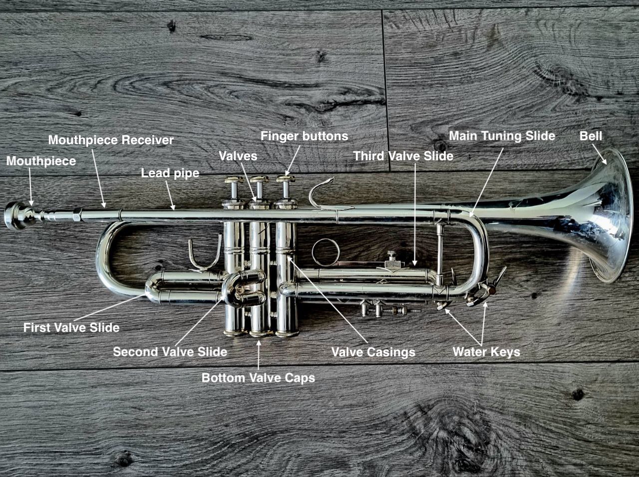 Parts of the trumpet